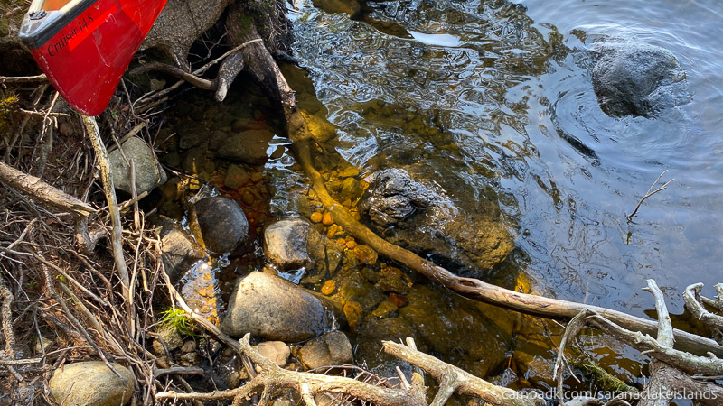 Campsite Photo of Site 65 at Saranac Lake Islands Campground, New York - Shoreline Area