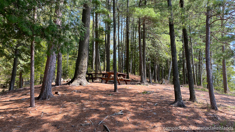 Campsite Photo of Site 65 at Saranac Lake Islands Campground, New York - Main Campsite Area