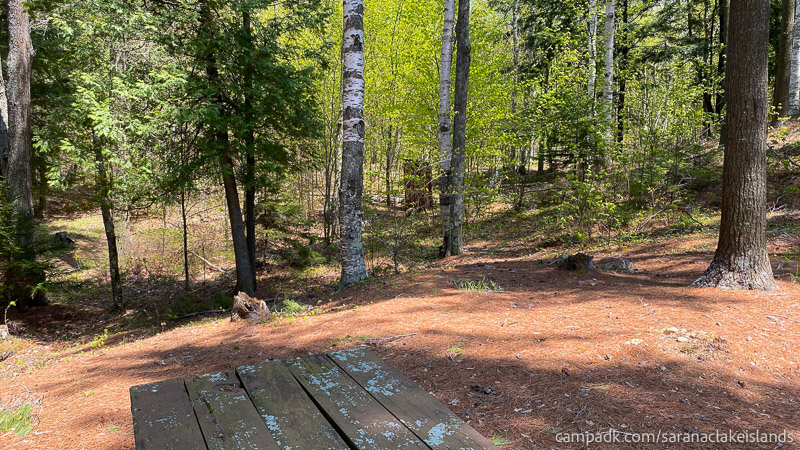 Campsite Photo of Site 65 at Saranac Lake Islands Campground, New York - Path to Outhouse