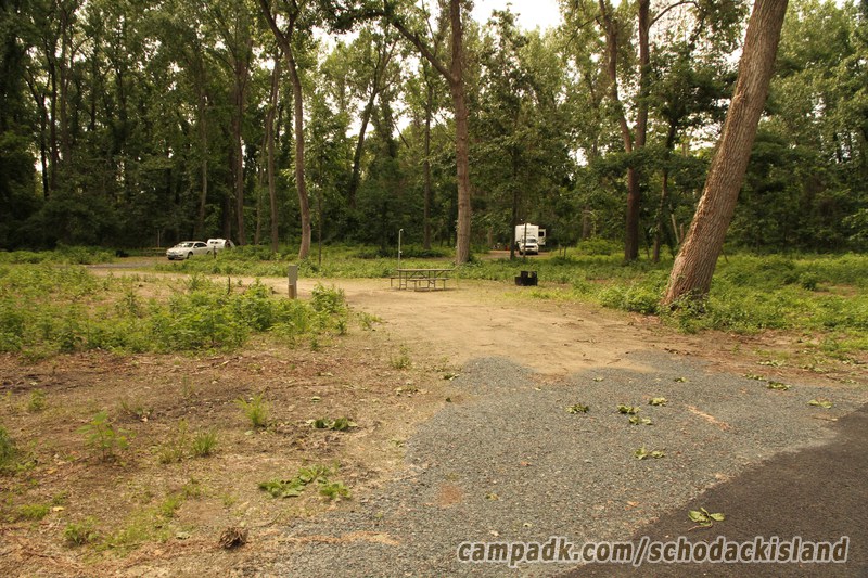 Campsite Photo of Site 8 at Schodack Island State Park, New York - Looking at Site from Road