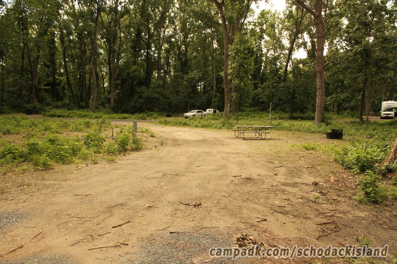 Campsite Photo of Site 8 at Schodack Island State Park, New York - Looking at Site from Part Way In