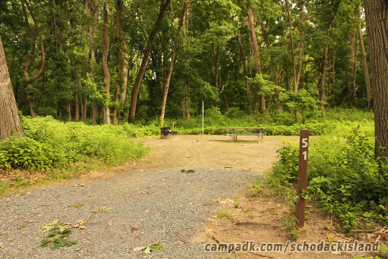 Campsite Photo of Site 51 at Schodack Island State Park, New York - Looking at Site from Road Sign Visible