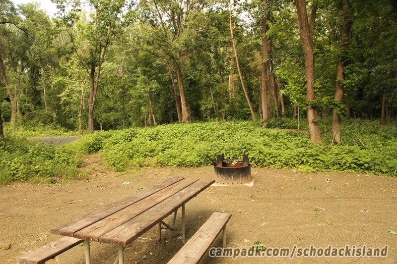 Campsite Photo of Site 51 at Schodack Island State Park, New York - Cross Site View