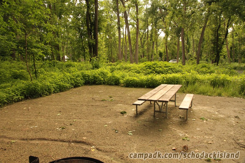 Campsite Photo of Site 51 at Schodack Island State Park, New York - Cross Site View