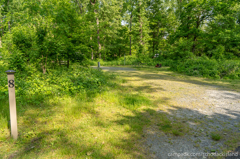 Campsite Photo of Site 8 at Schodack Island State Park, New York - Looking at Site from Road Sign Visible