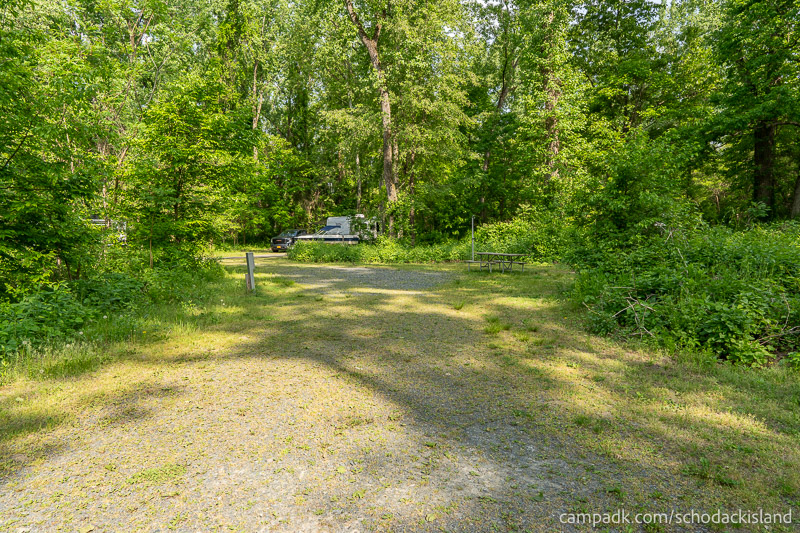 Campsite Photo of Site 8 at Schodack Island State Park, New York - Looking at Site from Road