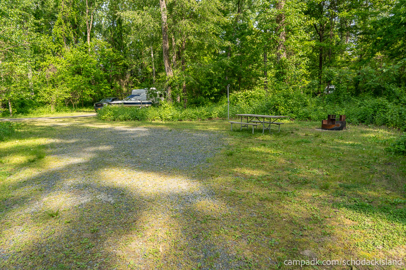Campsite Photo of Site 8 at Schodack Island State Park, New York - Looking at Site from Part Way In