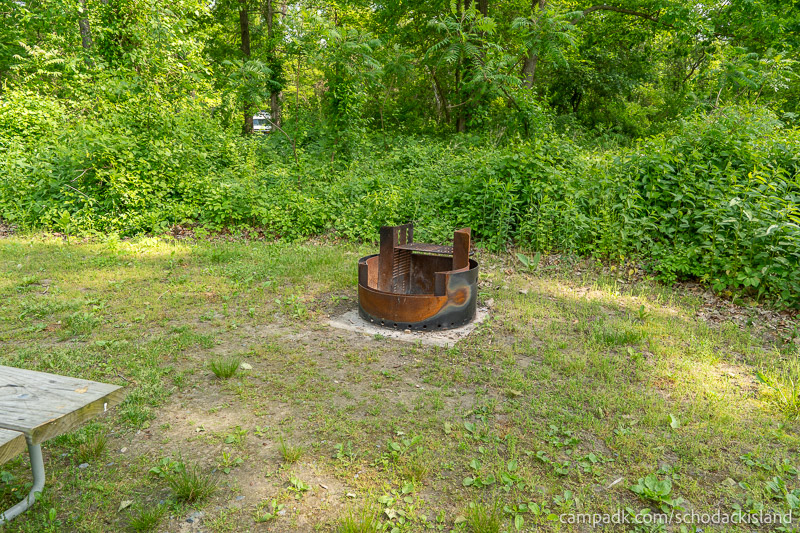Campsite Photo of Site 8 at Schodack Island State Park, New York - Fireplace View