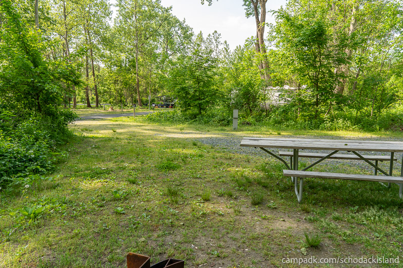 Campsite Photo of Site 8 at Schodack Island State Park, New York - Cross Site View