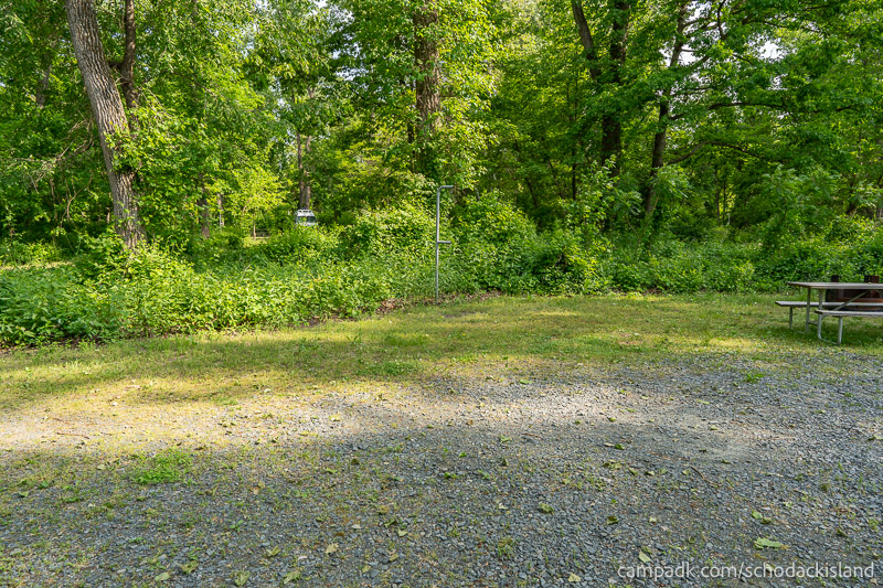 Campsite Photo of Site 8 at Schodack Island State Park, New York - Cross Site View