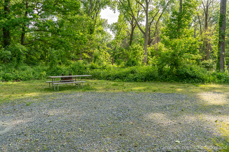 Campsite Photo of Site 8 at Schodack Island State Park, New York - Cross Site View