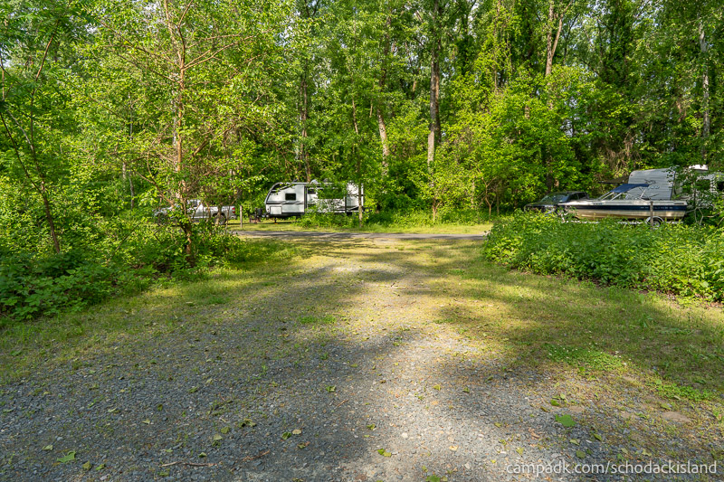 Campsite Photo of Site 8 at Schodack Island State Park, New York - Looking Back Towards Road