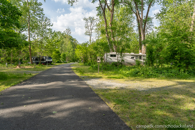 Campsite Photo of Site 8 at Schodack Island State Park, New York - View Down Road from Campsite