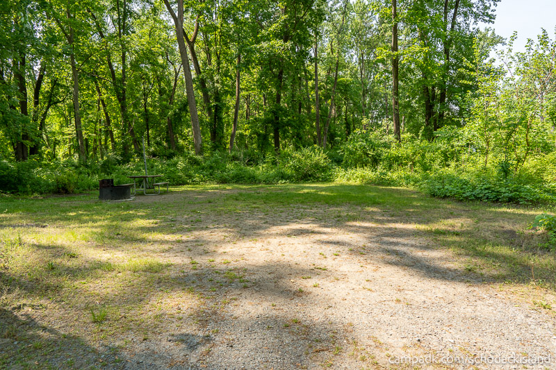 Campsite Photo of Site 51 at Schodack Island State Park, New York - Looking at Site from Road