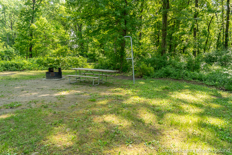 Campsite Photo of Site 51 at Schodack Island State Park, New York - Cross Site View