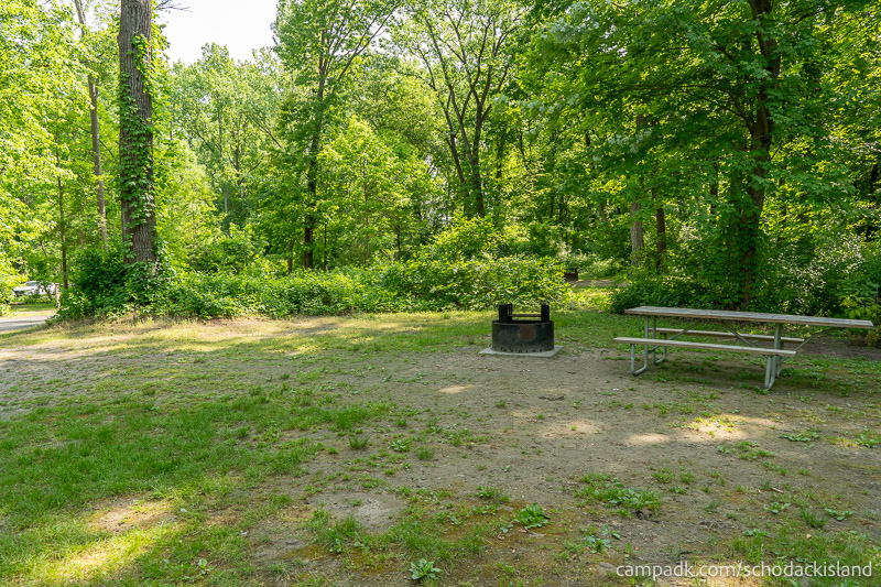 Campsite Photo of Site 51 at Schodack Island State Park, New York - Cross Site View
