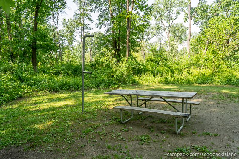 Campsite Photo of Site 51 at Schodack Island State Park, New York - Cross Site View