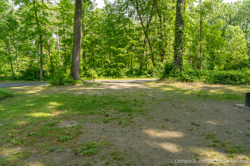 Campsite Photo of Site 51 at Schodack Island State Park, New York - Looking Back Towards Road