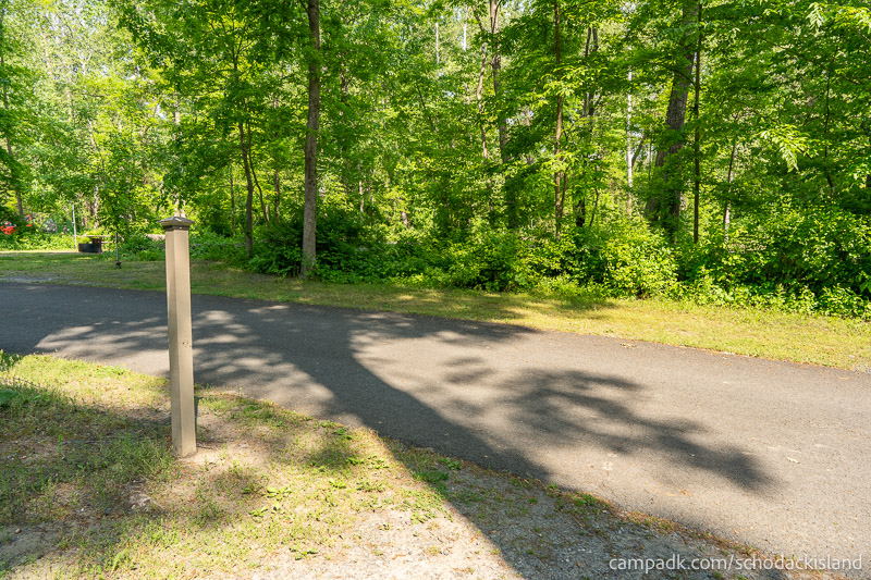 Campsite Photo of Site 51 at Schodack Island State Park, New York - Looking Back Towards Road