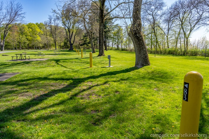 Campsite Photo of Site 83 at Selkirk Shores State Park, New York - Cross Site View