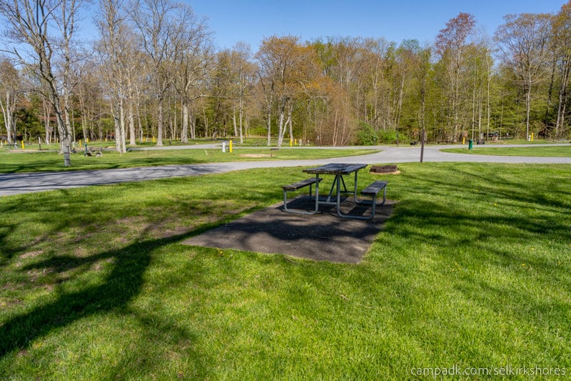 Campsite Photo of Site 83 at Selkirk Shores State Park, New York - Looking Back Towards Road