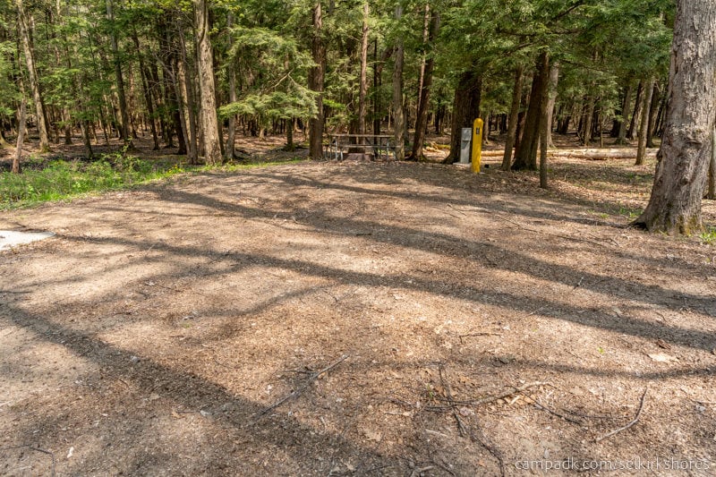 Campsite Photo of Site 25 at Selkirk Shores State Park, New York - Looking at Site from Part Way In