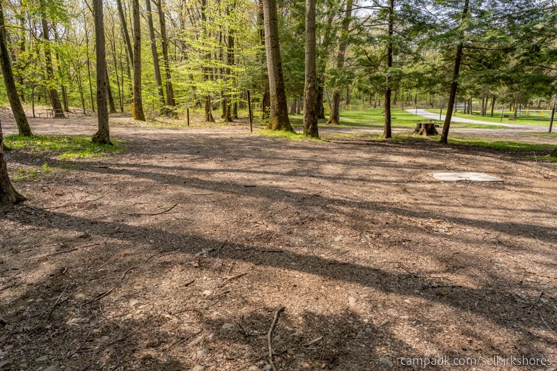 Campsite Photo of Site 25 at Selkirk Shores State Park, New York - Looking Back Towards Road