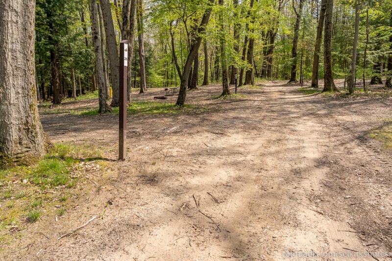 Campsite Photo of Site 25 at Selkirk Shores State Park, New York - View Down Road from Campsite