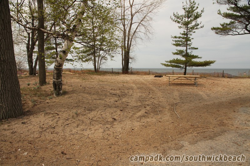 Campsite Photo of Site 5 at Southwick Beach State Park, New York - Looking at Site from Road