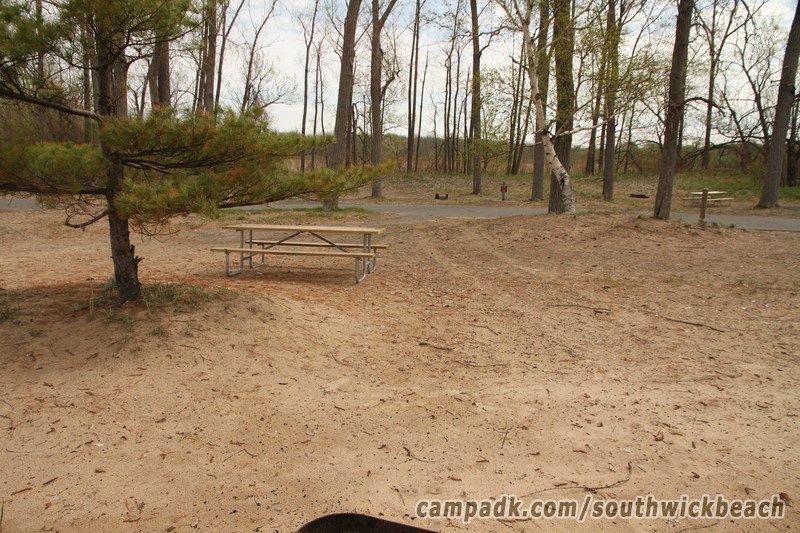 Campsite Photo of Site 5 at Southwick Beach State Park, New York - Looking Back Towards Road