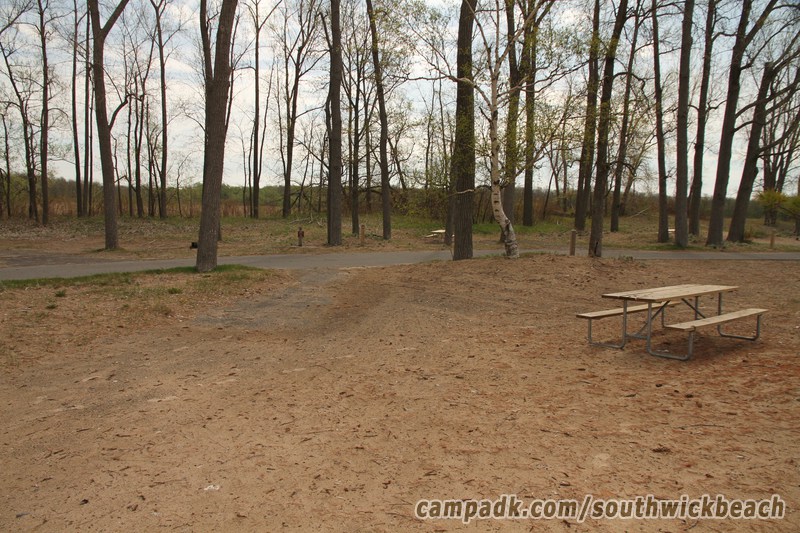Campsite Photo of Site 5 at Southwick Beach State Park, New York - Looking Back Towards Road