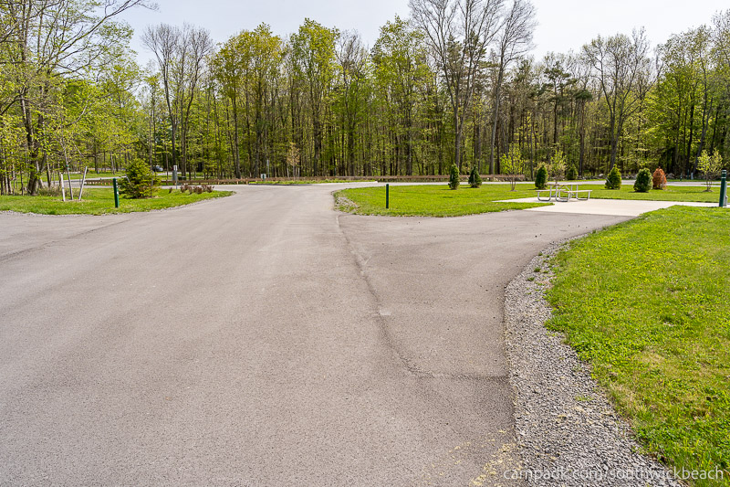 Campsite Photo of Site 121 at Southwick Beach State Park, New York - View Down Road from Campsite