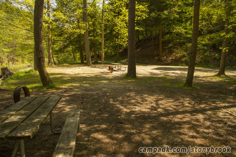 Campsite Photo of Site 417 at Stony Brook State Park, New York - Cross Site View