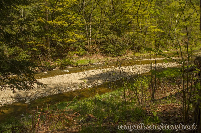 Campsite Photo of Site 417 at Stony Brook State Park, New York - View from Shoreline