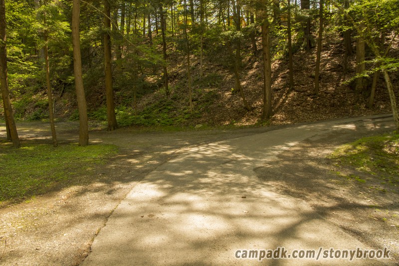 Campsite Photo of Site 417 at Stony Brook State Park, New York - View Down Road from Campsite