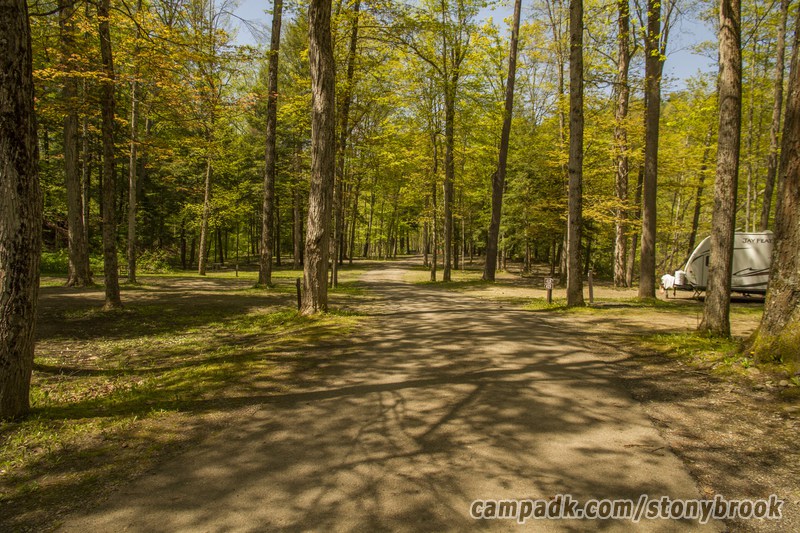 Campsite Photo of Site 417 at Stony Brook State Park, New York - View Down Road from Campsite