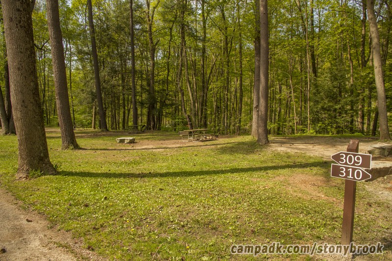 Campsite Photo of Site 309 at Stony Brook State Park, New York - Looking at Site from Road Sign Visible