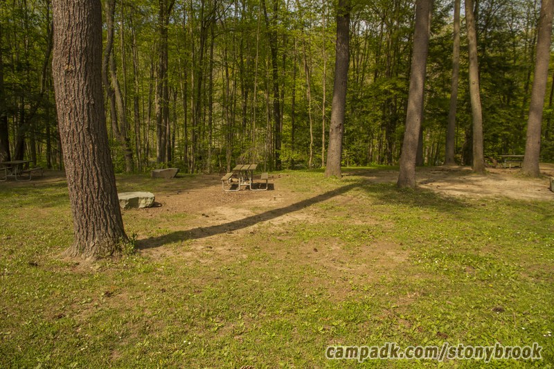 Campsite Photo of Site 309 at Stony Brook State Park, New York - Looking at Site from Road