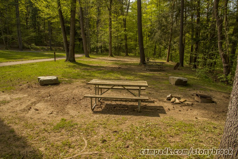Campsite Photo of Site 309 at Stony Brook State Park, New York - Cross Site View