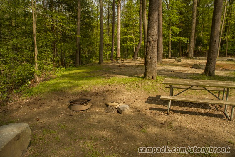 Campsite Photo of Site 309 at Stony Brook State Park, New York - Cross Site View