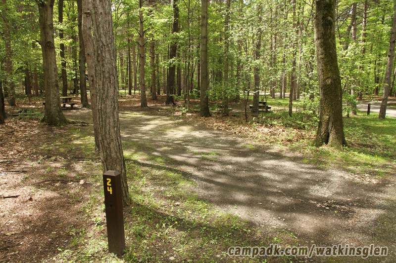 Campsite Photo of Site 24 at Watkins Glen State Park, New York - Looking at Site From Road Sign Visible