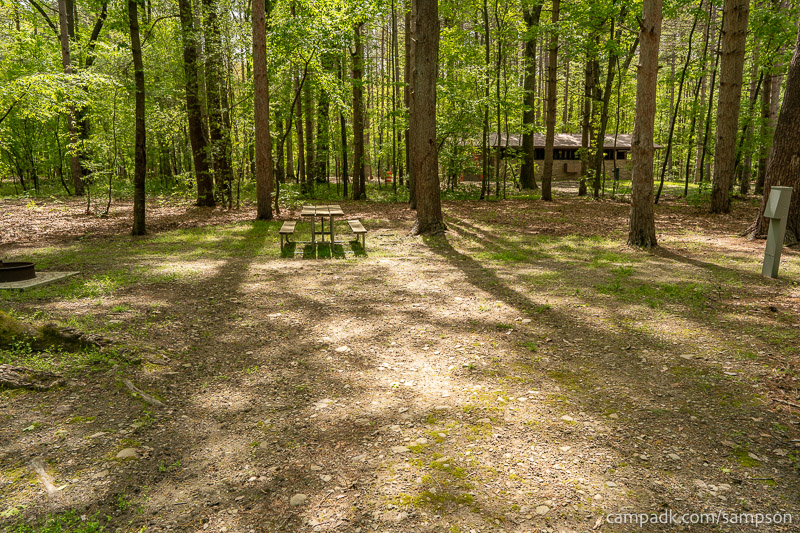 Campsite Photo of Site 24 at Watkins Glen State Park, New York - Looking at Site from Part Way In