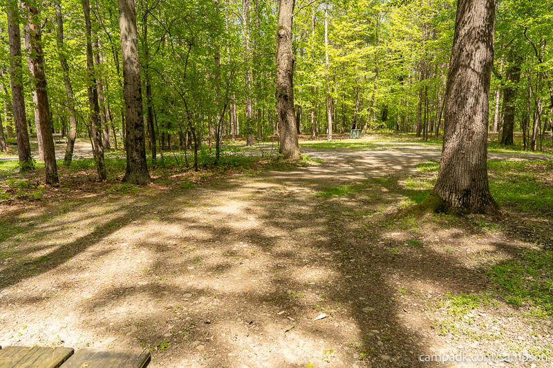 Campsite Photo of Site 24 at Watkins Glen State Park, New York - Looking Back Towards Road