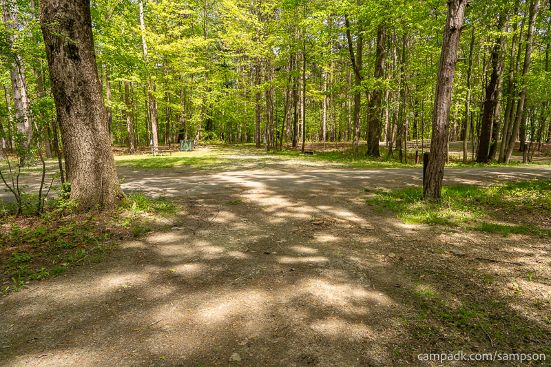 Campsite Photo of Site 24 at Watkins Glen State Park, New York - Looking Back Towards Road