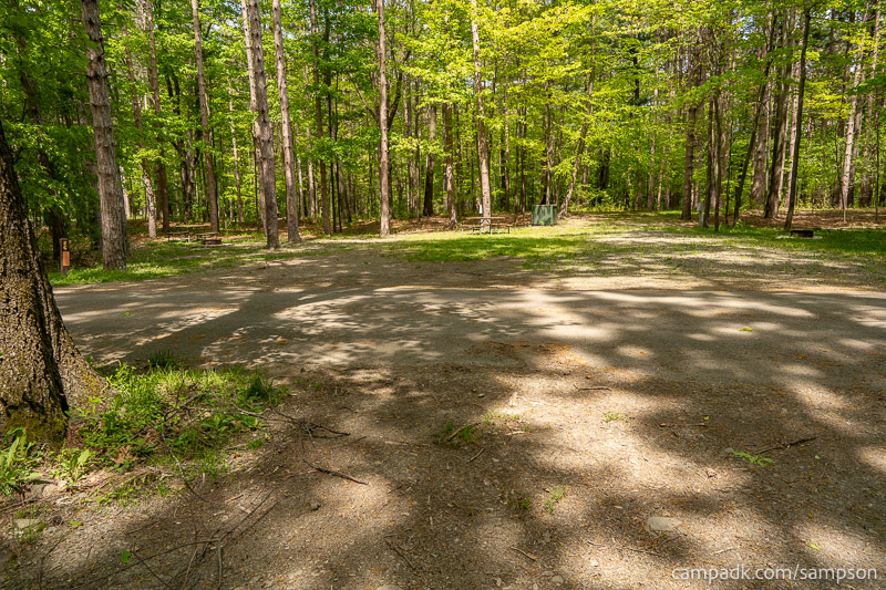 Campsite Photo of Site 24 at Watkins Glen State Park, New York - Looking Back Towards Road