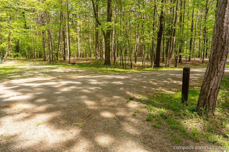 Campsite Photo of Site 24 at Watkins Glen State Park, New York - Looking Back Towards Road