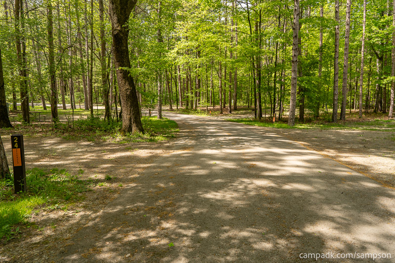 Campsite Photo of Site 24 at Watkins Glen State Park, New York - View Down Road from Campsite