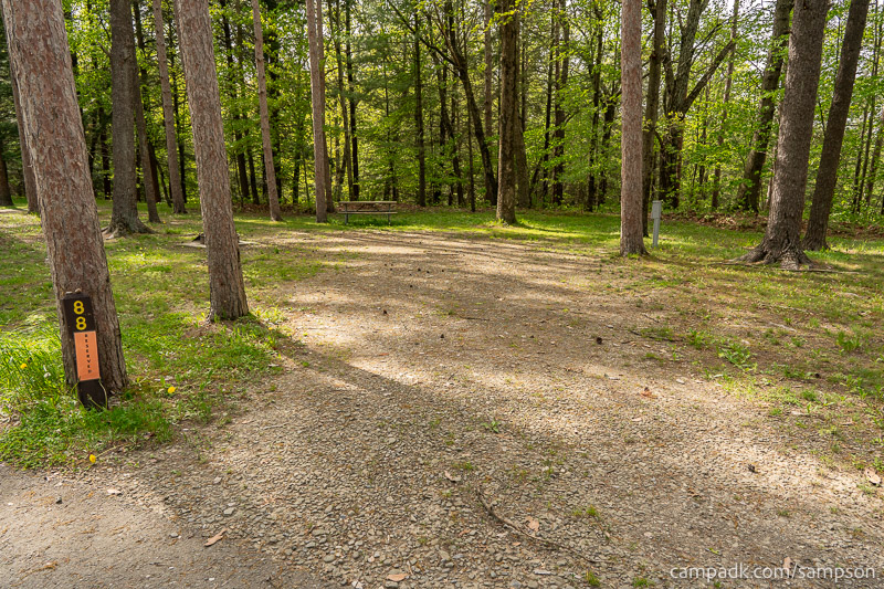 Campsite Photo of Site 88 at Watkins Glen State Park, New York - Looking at Site from Road Sign Visible