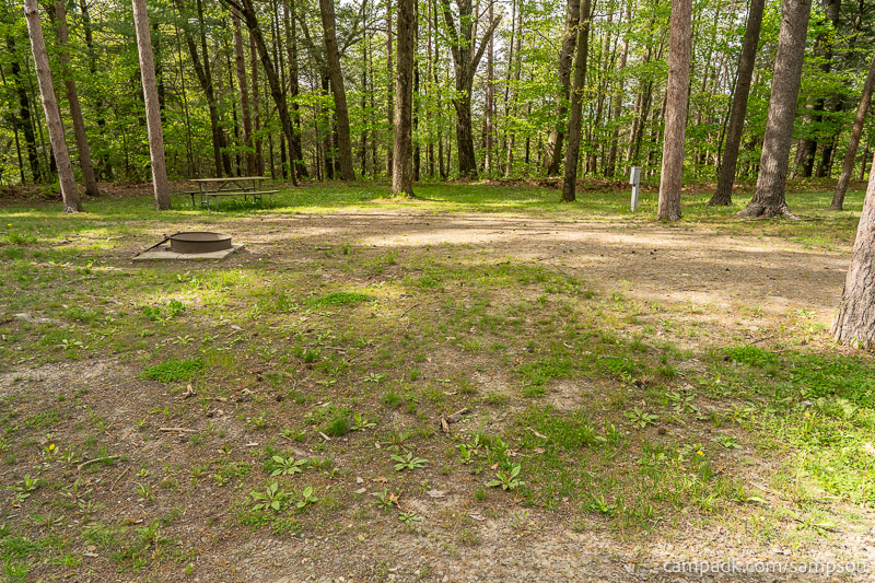 Campsite Photo of Site 88 at Watkins Glen State Park, New York - Looking at Site from Road