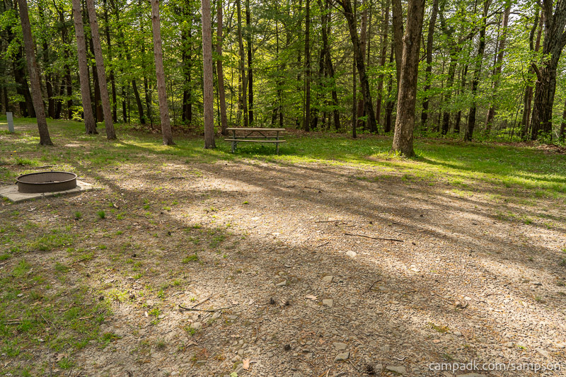 Campsite Photo of Site 88 at Watkins Glen State Park, New York - Looking at Site from Part Way In